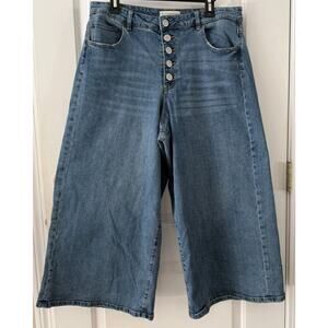 ELOQUII Elements Women's High-Rise Button Fly Wide Leg Jeans Sz 16 Gorpcore
